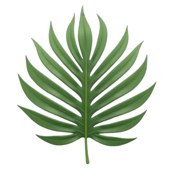 Vibrant Green Palm Leaf Tropical Botanical Illustration isolated on transparent background png
