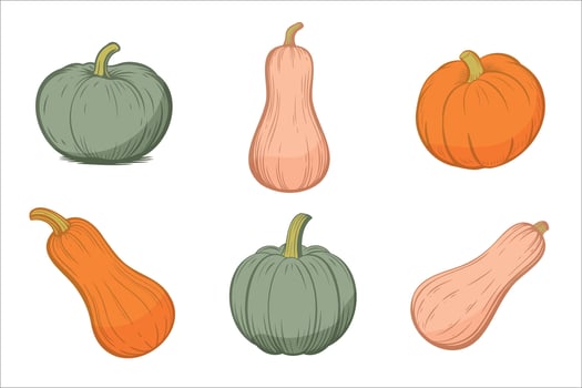 A collection of six pumpkins in various shapes and colors. Includes green, orange, and pale varieties. Ideal for autumn themes and harvest celebrations. vector