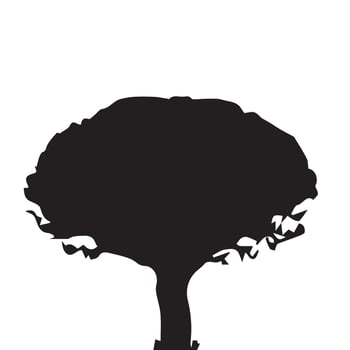 Isolated Tree Silhouetter on White Background Leafless Winter Tree Illustration vector