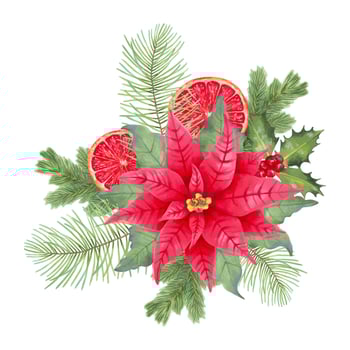 Poinsettia and pine holiday arrangement vector