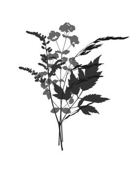 Botanical Bouquet of dry herbs herbarium, prints dark silhouettes of plants, medicinal flowers and herbs and meadow cereals. On white background. vector