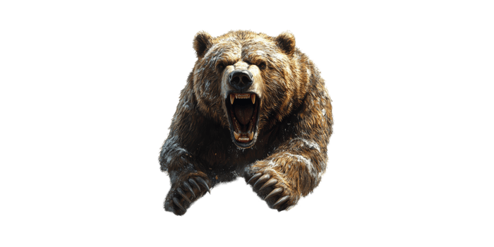Aggressive Grizzly Bear Roaring. Wildlife Power And Ferocity Isolated On Transparent Background png