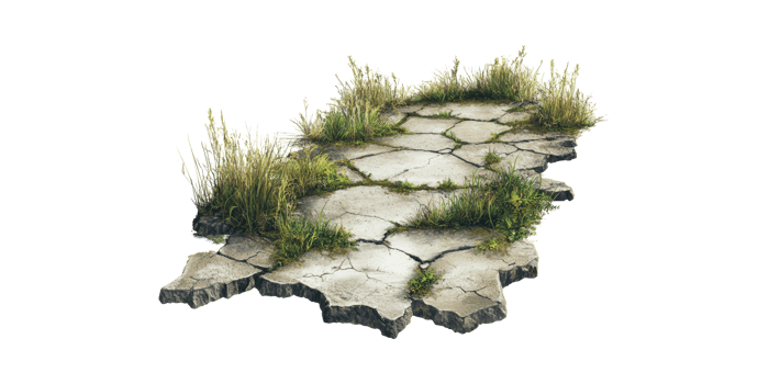 Cracked Earth With Grass Growth. Symbol Of Resilience And Nature'S Persistence Isolated On Transparent Background png