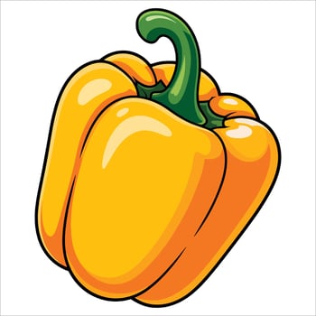Cartoon fresh yellow bell pepper. Transparent background illustration hand drawn for vegetable, kitchen, recipe, or healthy eating designs vector