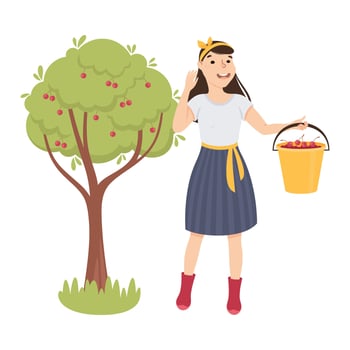 Woman Farmer or Agricultural Worker Picking Cherry from the Tree and Putting them in Bucket Illustration vector
