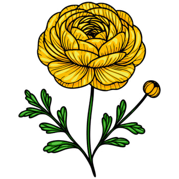 A vibrant yellow flower with layered petals and green leaves, featuring a round bud. The flower has a detailed, hand-drawn style, emphasizing its natural beauty. vector