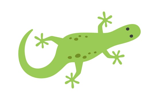 Gecko Lizard Animal vector