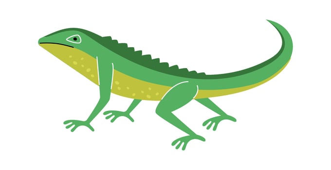 Lizard Reptile Animal Flat Illustration vector
