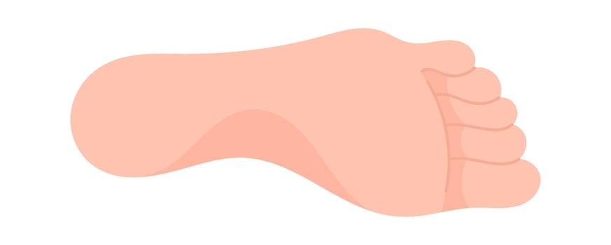 Human Foot Icon vector