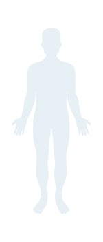 Human Body Silhouette vector