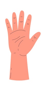 Human Palm Hand vector