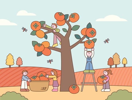 Children picking oranges from a tree vector