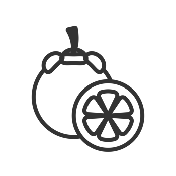 Simple Line Art Mangosteen Fruit with Slice Outline Icon png