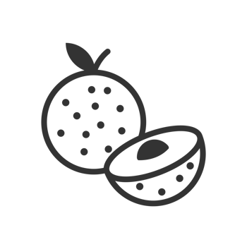 Simple Outline Style Longan Fruit and Halved Slice Food Icon png