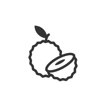 Minimalist Lineart Soursop Fruit Icon Tropical Food Drawing png
