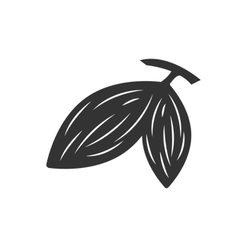 Minimalist Flat Style Cacao Pod Artistic Illustration on Solid Background png