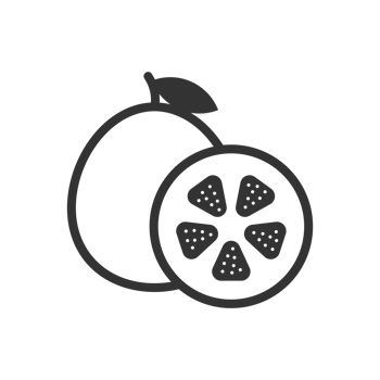 Minimalist Outline Style Fresh Orange Fruit Whole and Slice Icon png