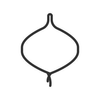 Simple Outline Drawing of Organic Onion Vegetable Food Ingredient Illustration png