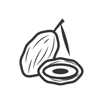 Simple Line Date Fruit with Slice Food and Drink Illustration png