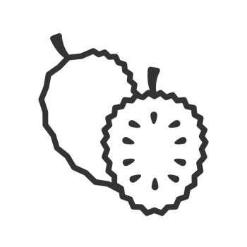 Simple Line Style Durian Cut Piece Tropical Fruit Icon png