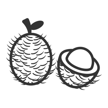 Black and White Outline Lineart Rambutan Tropical Fruit Still Life Illustration png