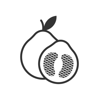 Minimalist Outline Guava Fruit Slice with Leaf Healthy Food Icon png