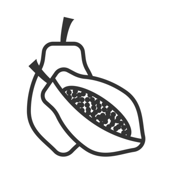 Minimalist Outline Style Papaya Fruit Detailed Sketch Tropical Food Illustration png