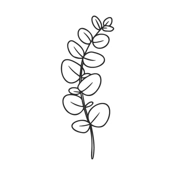 Simple eucalyptus leaf line art on white background vector