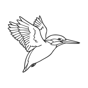 Detailed kingfisher line drawing in flight and beautiful bird vector