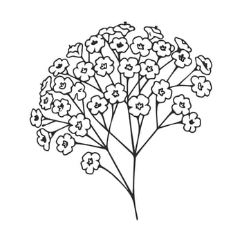 Floral bouquet outline with delicate gypsophila blooms in black and white vector