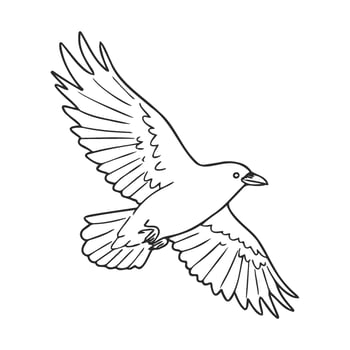 Outline of a flying crow with detailed wings spread in midandair vector