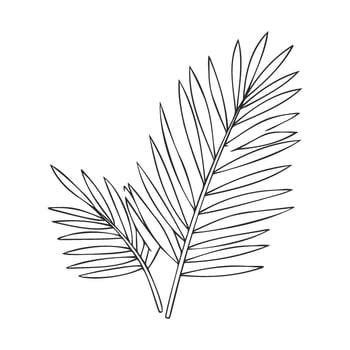 Simple line drawing of two overlapping palm leaves on white background vector