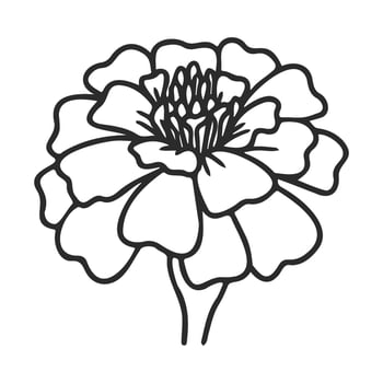 Black and white marigold flower outline vector