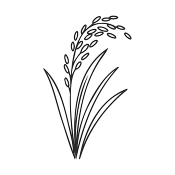 Minimalist black and white rice plant drawing with detailed grains and leaves vector