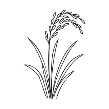 Minimalist black grain plant sketch with leaves and seed heads vector