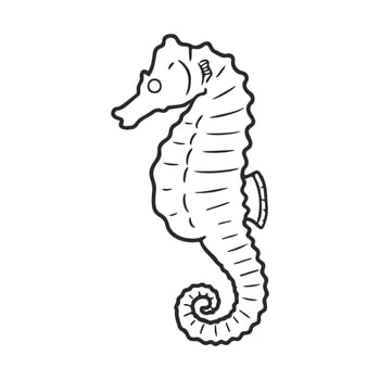 Simple seahorse outline drawing on white background vector
