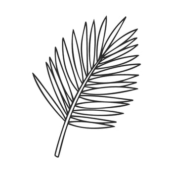 Simple black outline of a palm leaf on white background vector