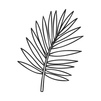 Black and white minimalist palm leaf line art vector