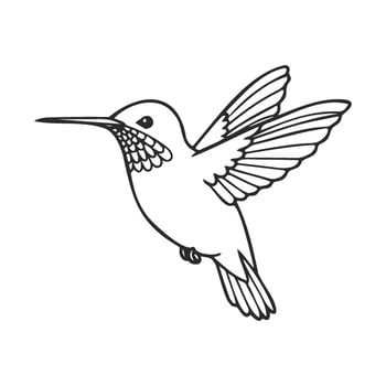 Simplistic line art of a hummingbird in flight vector