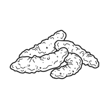 Black and white sketch of fresh turmeric roots on white background vector