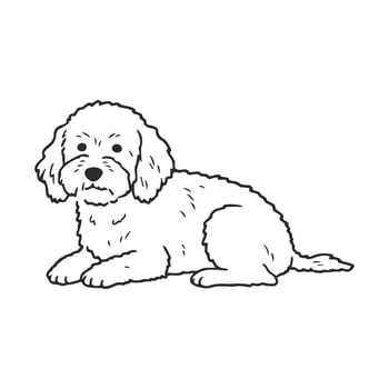 Fluffy white dog relaxing and lying down in a simple line drawing vector