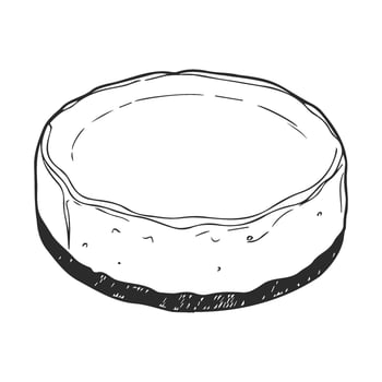 drawn cheesecake sketch with detailed crust and filling design vector