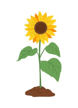 Cartoon sunflower plant with bright yellow petals vector