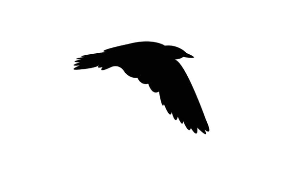 Flying American herring gull bird black Silhouette Design vector
