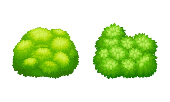 Green shrubs for park or garden decor, tree crown bush foliage. Summer landscape design illustration vector