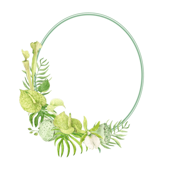 Oval frame of orchid flowers and monstera leaves. Wedding template with bridge for text. Exotic plants of tropical forests and jungles. Watercolor illustration. png