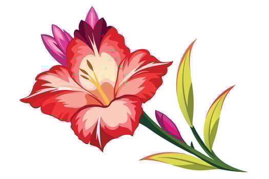 Vibrant Red Gladiolus Flower Blooming Gracefully on White Background, Botanical Illustration in Vivid Colors - Professional digital artwork with vibrant colors and detailed composition vector