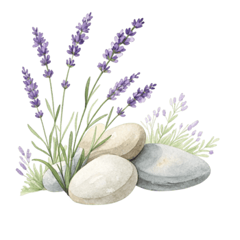 Lavender flowers and stones with a black background png