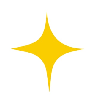 Simple Star Icon Flat Illustration vector