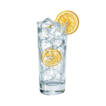 Refreshing Citrus Infusion A Sparkling Beverage with an Orange Slice Garnish on clear glass png